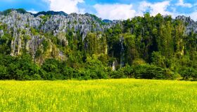 Begin your visa-prepared day with Laos’ tranquil ambiance